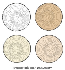Set of white and brown tree rings, cut tree trunks. Vector illustration.
