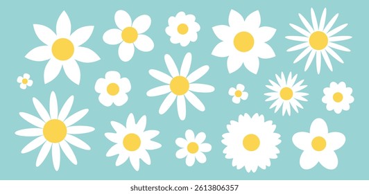 Set of white camomile flowers. Flat botanical illustration. Simple spring floral collection. Cute minimalist daisies. Vector isolated on mint background.