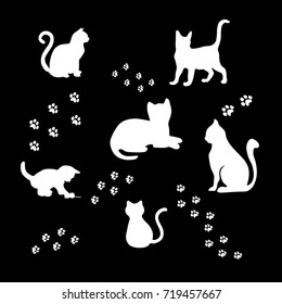 set of white cat silhouette on black background vector