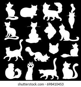 Set of white cats Silhouettes on a black background