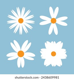 Set of white chamomiles of different shapes.