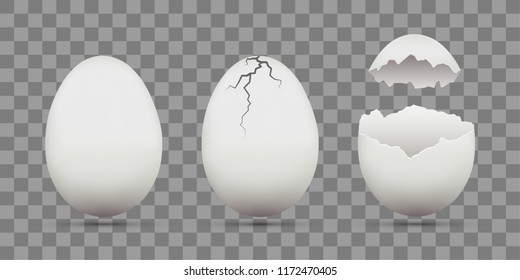 Set of white chicken eggs. Shell with cracks. Isolated on a transparent background. Stock vector template.