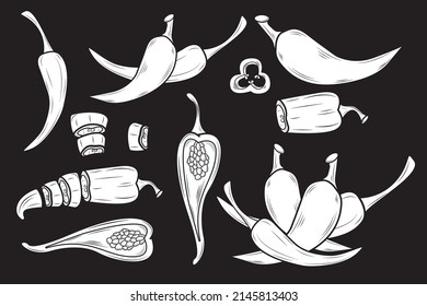 Set of white Chili Pepper silhouette in isolate on black background. Vegetable engraved object style. Isolated spicy Vegetarian food drawings. Paprika market.