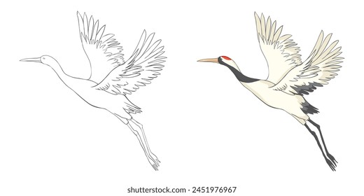 Set of white cranes in different, collection of hand drawn japanese birds. Symbol of traditional asian art, isolated flat vector illustration on white background.