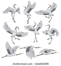 Set of white cranes in different positions, collection of hand drawn japanese birds flying, standing, dancing. Symbol of traditional asian art, isolated flat vector illustration on white background.