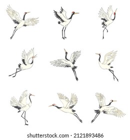 Set of white cranes in different positions, collection of hand drawn japanese birds flying, standing, dancing. Symbol of traditional asian art, isolated flat vector illustration on white background.