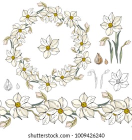 Set com narcisos brancos em branco.
