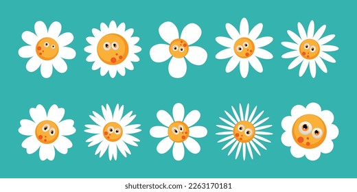 A set of white daisies with eyes of different shapes.