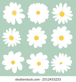 Set of white daisy flowers, Hand-drawn linear flowers. vintage floral elements,Ink drawing wild flowers, herbs or flowers.