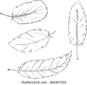 Set of white feathers on white background. Cartoon sketch drawn by ink. Hand drawn vector illustration.