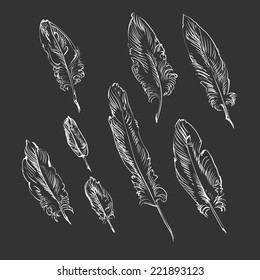 set of white feathers on dark background