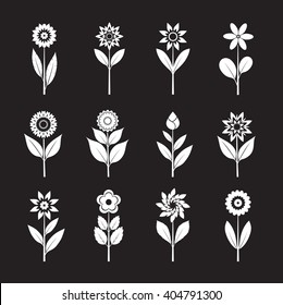 Set of White Flowers and Leafs. Vector Illustration.