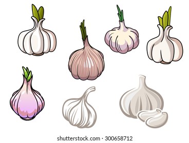 Set of white and gray garlic vegetables isolated on white background