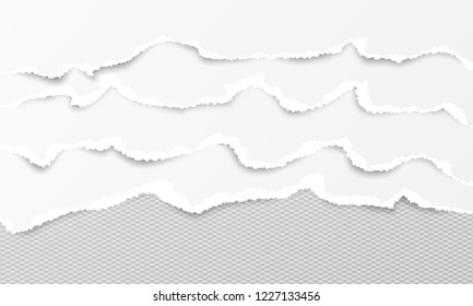 Set of white horizontal ripped paper strips, torn note paper for text or message. Vector illustration