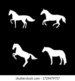 Set of White horse silhouette vector illustration with black background