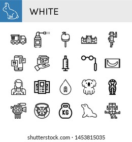 Set of white icons such as Rabbit, Crane truck, Sprays, Caramelized apple, Palace, Polka, Smartphone, Report, Syringe, Binoculars, Banana, Maid, Brochure, Blood type, Koala , white