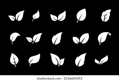 Definir branco folhas ícone vetor isolado no fundo preto. Várias formas de folhas brancas de árvores e plantas.Eps 10
