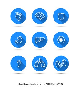 Set of white outline icons of humans organs on blue background with long shadow, isolated on white