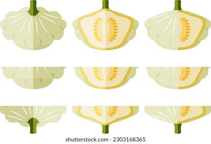 Conjunto de calabazas o calabazas de vieiras o calabazas de calabaza. Calabaza veraniega. Cucurbita pepo. Frutas y verduras. Estilo plano. Ilustración vectorial aislada en fondo blanco.