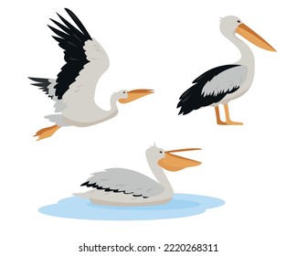 Set of white pelican birds in different poses isolated on white background. Graceful Pelicans icons. Nature Vector flat or cartoon illustration.