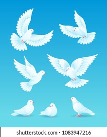 Set of white pigeons on blue background - flying and sitting. Vector EPS10