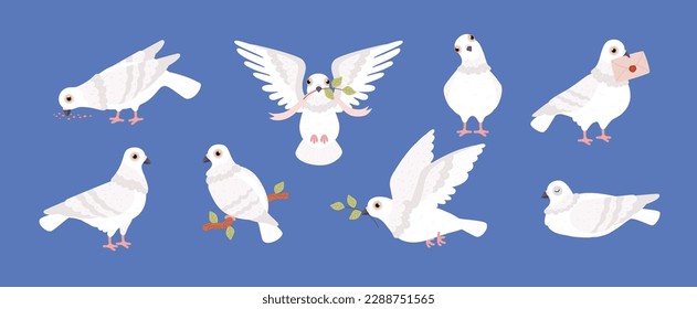 Set of white pigeons in various poses flat style, vector illustration isolated on blue background. Flying, eating and sleeping doves, postal bird, love and peace symbol