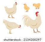 Set of white poultry farm chicken birds. Rooster cock with hen and chicks isolated on white background. Chicken family icons in flat or cartoon style vector illustration.