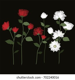  Set of white and red bloomig flowers .Blossom flowers. on Black illustration style of stem flowers.