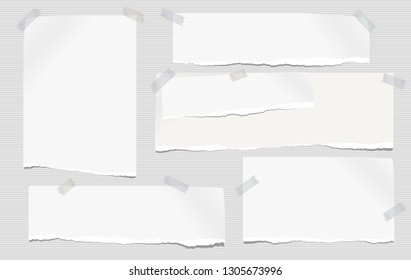 Set of white ripped notebook paper, torn note paper strips stuck with sticky tape on lined grey background. Vector illustration