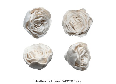 Set of White Roses Isolated Vector on Clear Background
