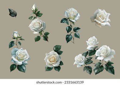 set of white roses watercolor illustration. hand drawn, isolated white background, flower clipart, for bouquets, wreaths, arrangements, wedding invitations, anniversary, birthday, postcards, greetings