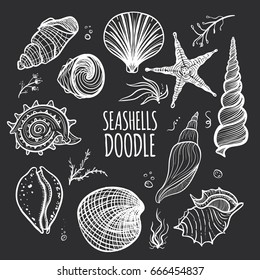 Set of white seashells on black background. Hand drawn doodle seashells, starfish, seaweed and coral. Creative seashells of different type.