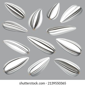 Set of white seeds. Vector drawing.