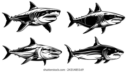 set white shark icon. Dangerous sea predator monochrome design vector illustration