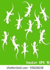 Set white silhouette lizard gecko. Vector illustration isolated on green background.