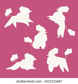 Set of white silhouette poodles on white background. Flat vector illustrations. Cartoon simply style. The poodle is sitting, standing, lying, running, asking. EPS10