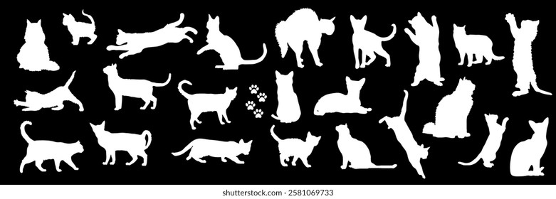 Set of white silhouettes of cats and kittens on a black background in playful poses. Domestic cats and kittens
