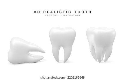 Set of white tooth in different position isolated on white background. Concept of dental examination of teeth, dental health and hygiene. Vector illustration