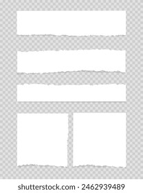 Set of white torn or ripped paper sheet. notebook tear or blank page split vector illustration.