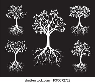 Set of white Trees with Leaves and root on black background. Vector Illustration.