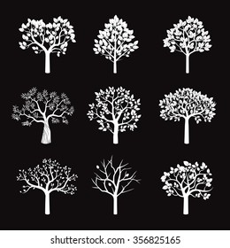 Set of White Trees and Roots. Vector Illustration.