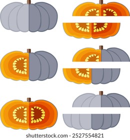 Set of White Valenciano pumpkin. Winter squash. Cucurbita maxima. Vegetables. Flat style. Isolated vector illustration.