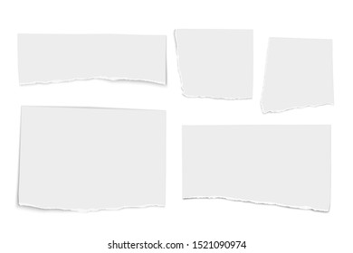 Set of white vector paper tears isolated on white background