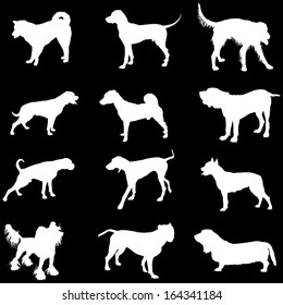 Set of white vector silhouette of dogs, isolated on black background. Illustration of dog collection.