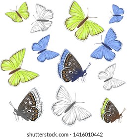 Set of white, yellow, blue butterflies Lycaenidae isolated on white background. Vector clipart.