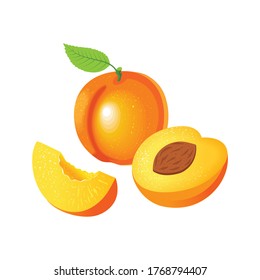 Set with whole apricots and pieces of apricots on a white background. Vector illustration.