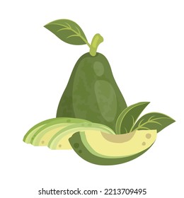 Set of whole avocado in peel with leaves and sliced avocado with flesh. Ripe avocado fruit. Healthy vegetarian organic food. Vector illustration for healthy lifestyle and good nutrition