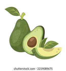 Set of whole avocado in peel with leaves and sliced avocado with pit, flesh. Ripe avocado fruit. Healthy vegetarian organic food. Vector illustration for healthy lifestyle and good nutrition
