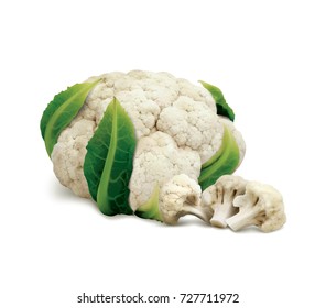 Set of whole cauliflower and small pieces in a realistic depiction