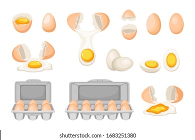 Set of whole and cracked eggs with yolks. Eggs in paper box. Healthy organic food. Vector illustration.